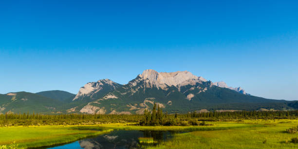 istock landscape over the Yellowhead Highway, Alberta, Canada 1218013277
