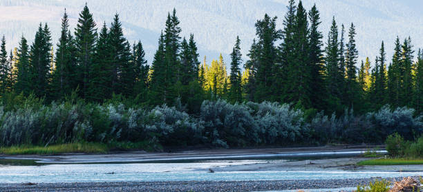 Athabaska river view along the YellowHead Highway, from Hinton to Jasper, Alberta, cANADA