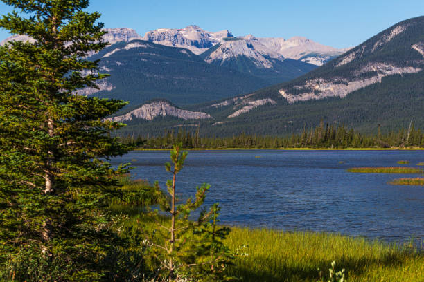 istock landscape over the Yellowhead Highway, Alberta, Canada 1218017281