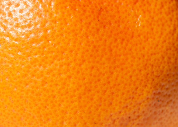 istock orange peel with visible texture. macro photo 1218017735