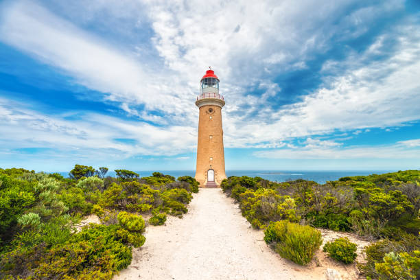 cape du couedic lighthouse, kangaroo island - surveillance history social issues horizontal stock-fotos und bilder