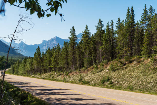 istock landscape over the Yellowhead Highway, Alberta, Canada 1218019662