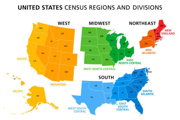 amerika birleşik devletleri haritası nüfus sayımı bölgeleri ve bölümleri bölünmüş - abd stock illustrations