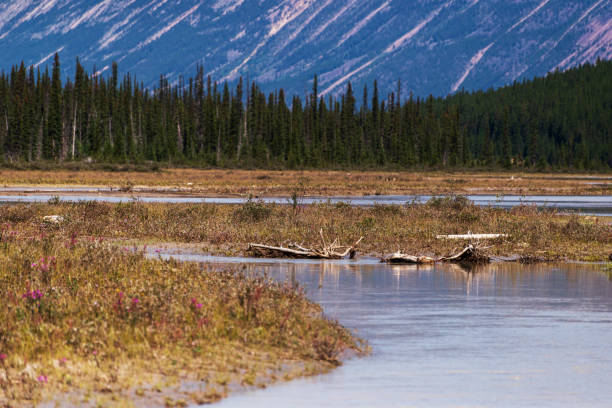 istock landscape over the Yellowhead Highway, Alberta, Canada 1218024300