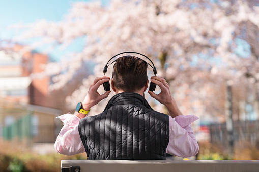 A man with a beard is listening to podcasts / audio books in a public park. He is sitting under a Cherry blossom tree in bloom.