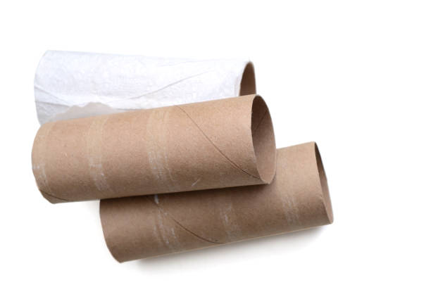 istock Out of paper toilet rolls on white 1218027934