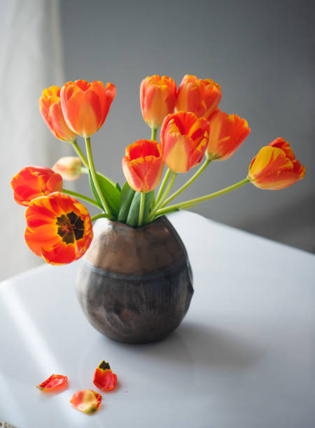 istock beautiful still-life with tulips 1218030529