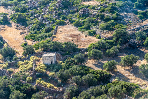 istock Ancient construction with stone walls and vegetation 1218032774