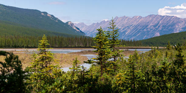 istock yellowhead highway landscapes, Jasper national park, Alberta, canada 1218034086