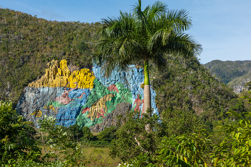 Prehistorical mural (Mirador). The Vinales Valley (Valle de Vinales), popular tourist destination. Pinar del Rio, Cuba.