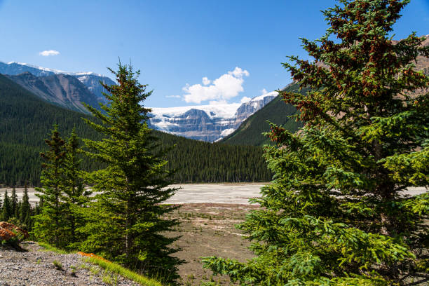 istock yellowhead highway landscapes, Jasper national park, Alberta, canada 1218034622