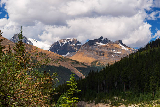 istock yellowhead highway landscapes, Jasper natinal park, alberta, canada 1218036019