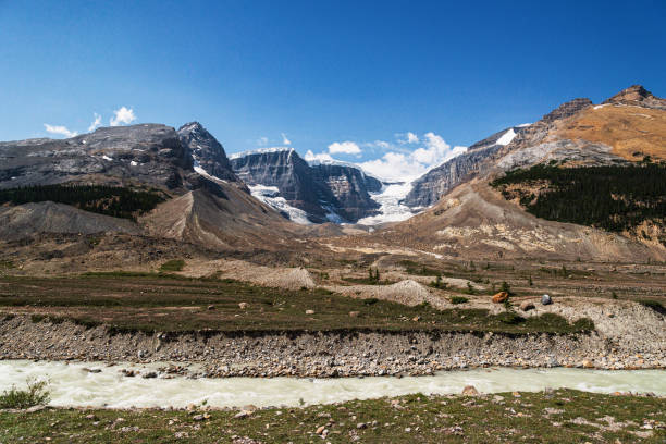 istock icefields parkway landscapes inside Jasper National Park, Alberta, Canada 1218036024