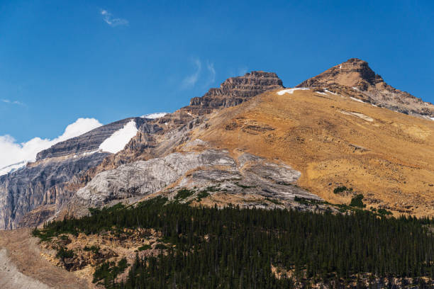 istock yellowhead highway landscapes, Jasper natinal park, alberta, canada 1218037541