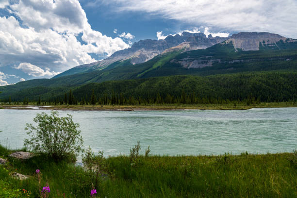 istock yellowhead highway landscapes, Jasper national park, Alberta, canada 1218038759