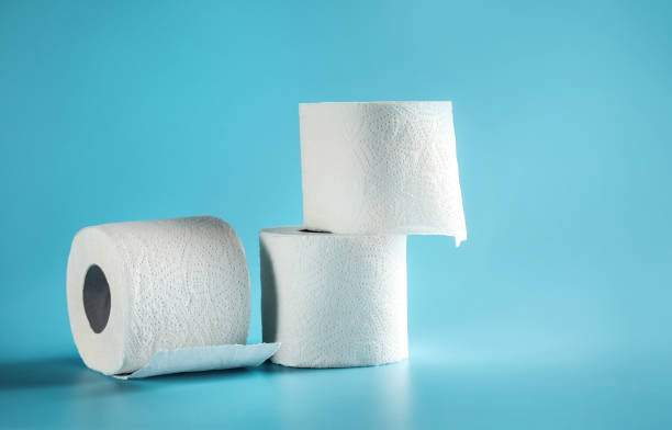 istock Soft toilet paper rolls 1218038920