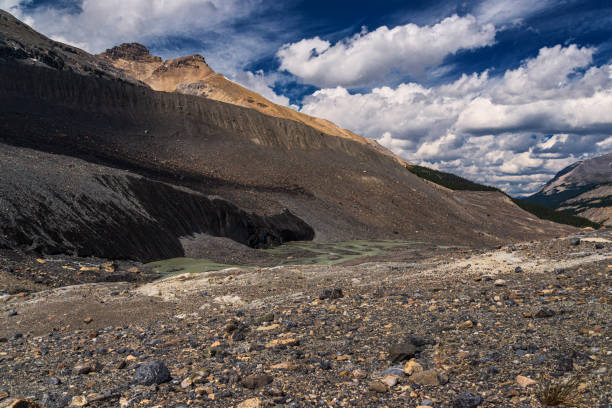 istock icefields parkway landscapes inside Jasper national park, alberta, canada 1218039354