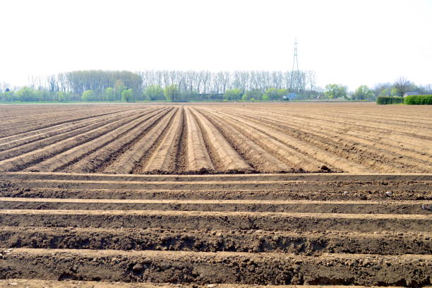 istock Landscaped field by farmer. 1218040650