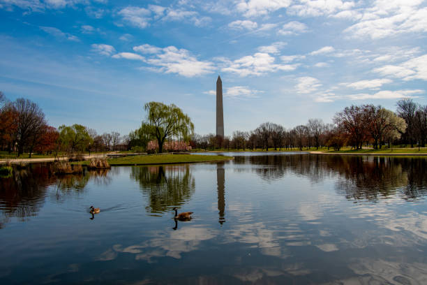 istock Constitution Gardens and the Washington Monument 1218040729