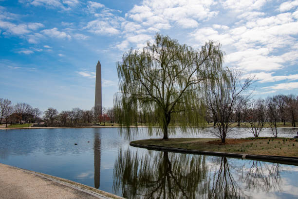 istock Constitution Gardens and the Washington Monument 1218040854