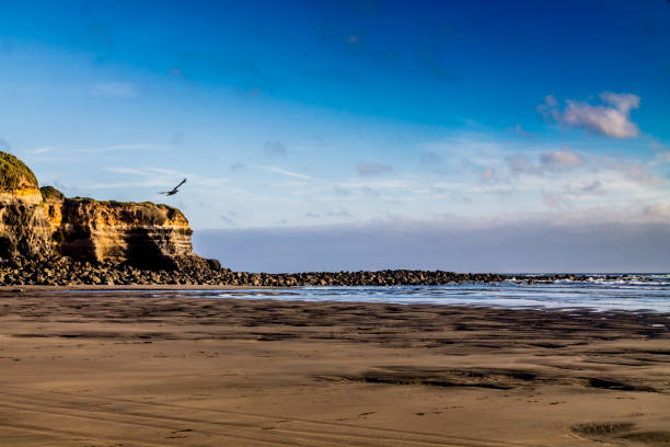 오부나키 해변의 유명한 검은 모래 해변. 오부나키, 뉴질랜드 여행 - taranaki region 뉴스 사진 이미지