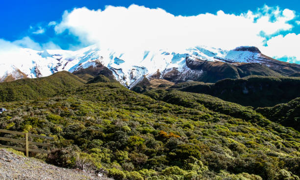 타라나키 시골, 뉴질랜드 - taranaki region 뉴스 사진 이미지