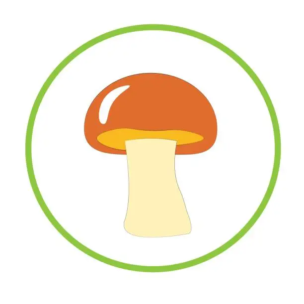 Vector illustration of mushroom illustration. healthy and organic vegetable