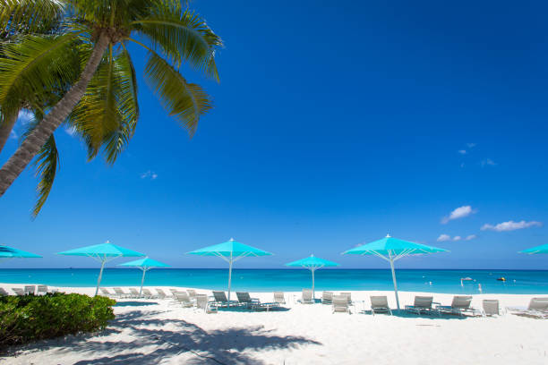 istock Grand Cayman Beach Deck Chairs Blue Umbrellas On Water's Edge 1218042030