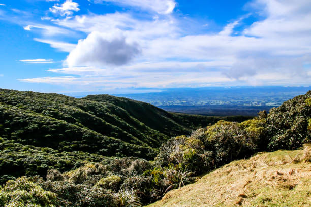 타라나키 시골, 뉴질랜드 - taranaki region 뉴스 사진 이미지