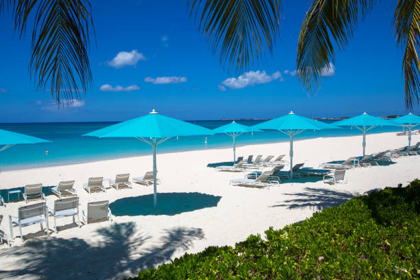 istock Grand Cayman Beach Deck Chairs Blue Umbrellas On Water's Edge 1218042065
