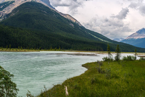 istock yellowhead highway landscapes, Jasper national park, Alberta, canada 1218042610