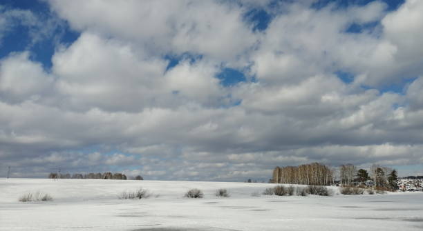 istock Spring Sunny day in Kuzbass 1218045987