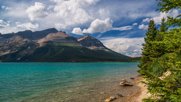 istock Icefields parkway landscapes, Banff national park, alberta, canada 1218046066