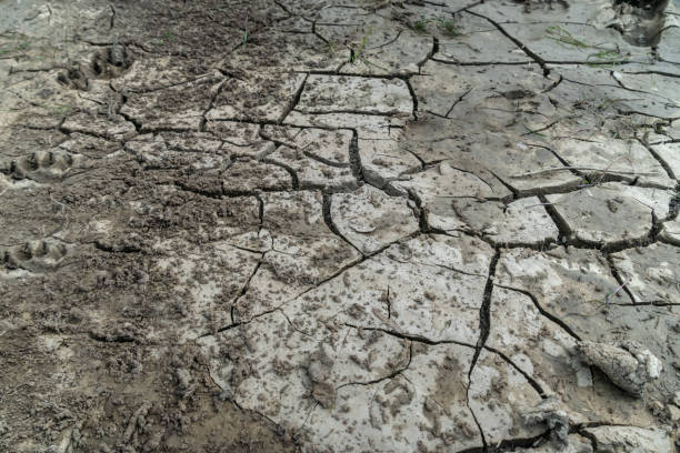 istock Texture, background, seamless pattern. This is useful for designers. a crack in the ground, drought, sun. absence of water. Slit narrow groove on the surface. 1218047017