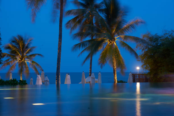 istock swimming pool with coconut tree on beach background in night scene 1218047225