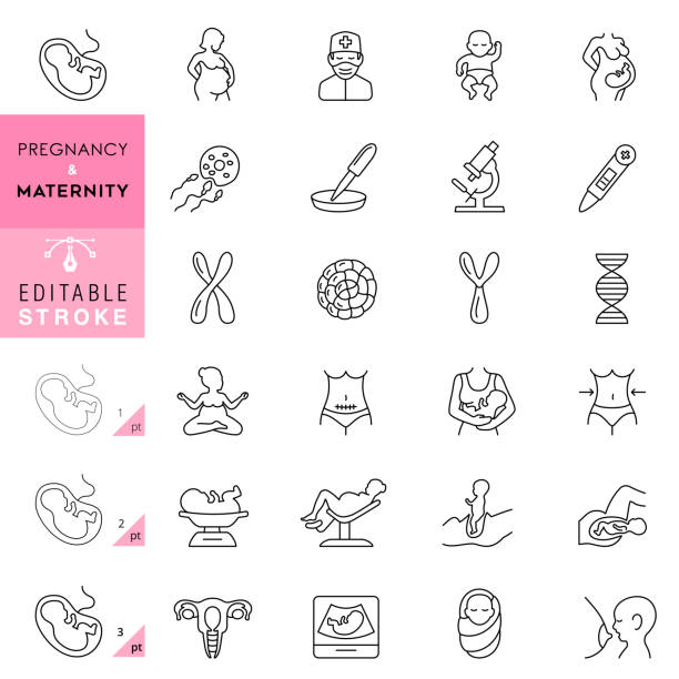 ilustrações, clipart, desenhos animados e ícones de ícones da linha de gravidez e maternidade. traçado editável. - human fertility
