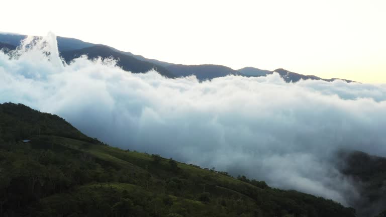 Morning for in the mountains