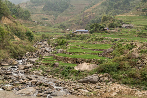 istock Rice terraces in Vietnam 1218054805