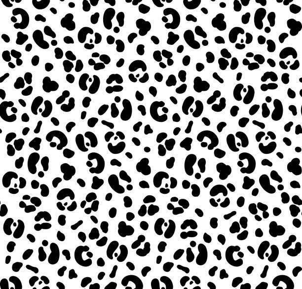 Seamless black and white color leopard print. Animal skin pattern. White leopard background. Can be used for fabrics, wallpapers, scrap-booking, etc. Vector illustration. black and white cheetah print stock illustrations