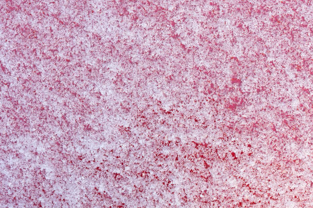 istock beautiful snow on colored background 1218060289