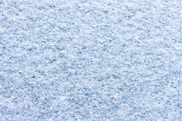 istock beautiful snow on colored background 1218060296