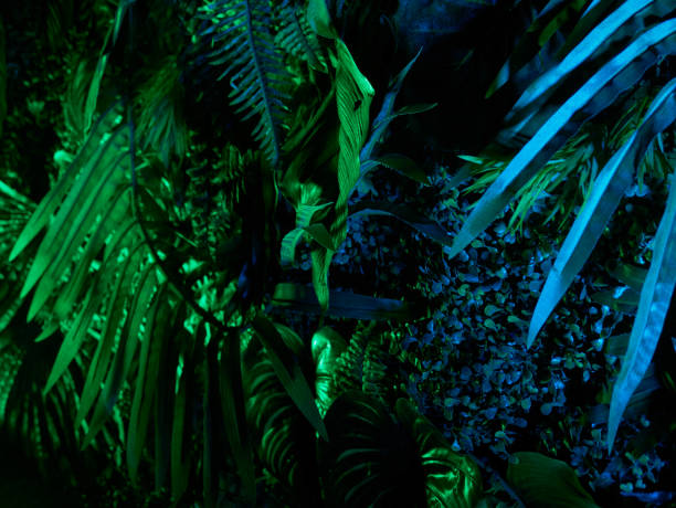 istock Tropical palm leaves pattern green colored. Background 1218060586