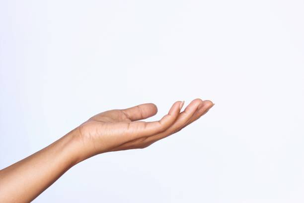 istock Woman hand gesture showing something on the palm 1218066451