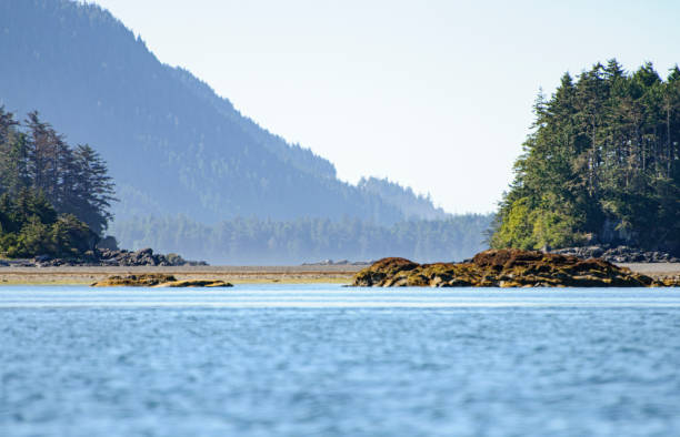istock Ocean with a sandy beach surrounded by trees and mountains in the background 1218071272