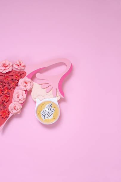 istock The creative concept of the dermoid ovarian cyst. Copy space 1218074738