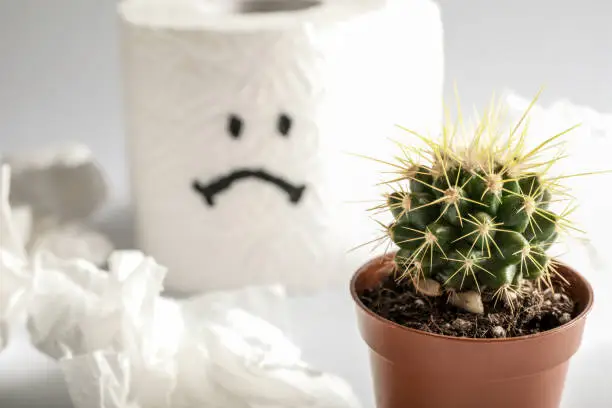 Toilet paper roll with sad smile and cactus on white background