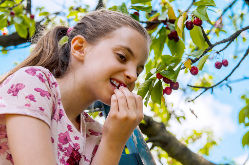 Girl eating cherry on the top of the tree
