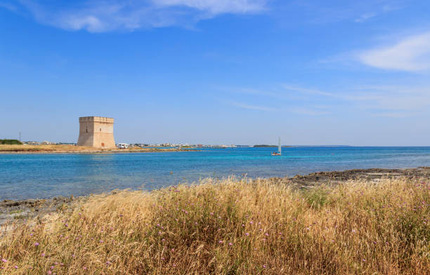 Chianca or Santo Stefano tower: located on a tiny peninsula near tipycal torres costeras de apulia: fortificación histórica torre chianca. la pintoresca playa de torre chianca y la histórica torre de fortificación torre chianca (torre santo stefano) en la costa del mar jónico de salento, porto cesareo, puglia, ital