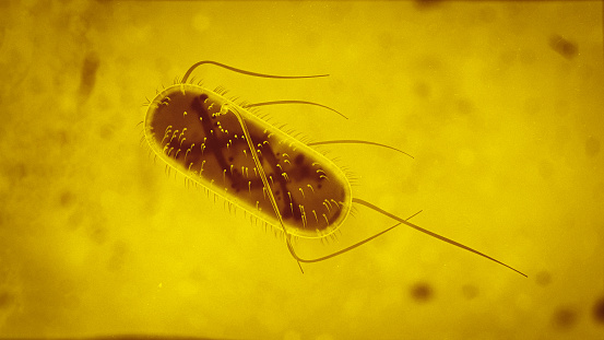 3d Escherichia Coli (E. Coli.) cells or bacteria under microscope. 3d illustration