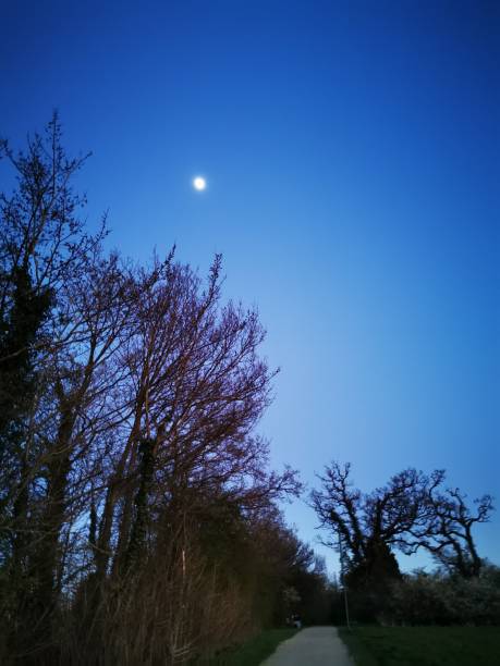 istock Morning sunrise with silhouette landscape during Covid 19 2020 1218088806